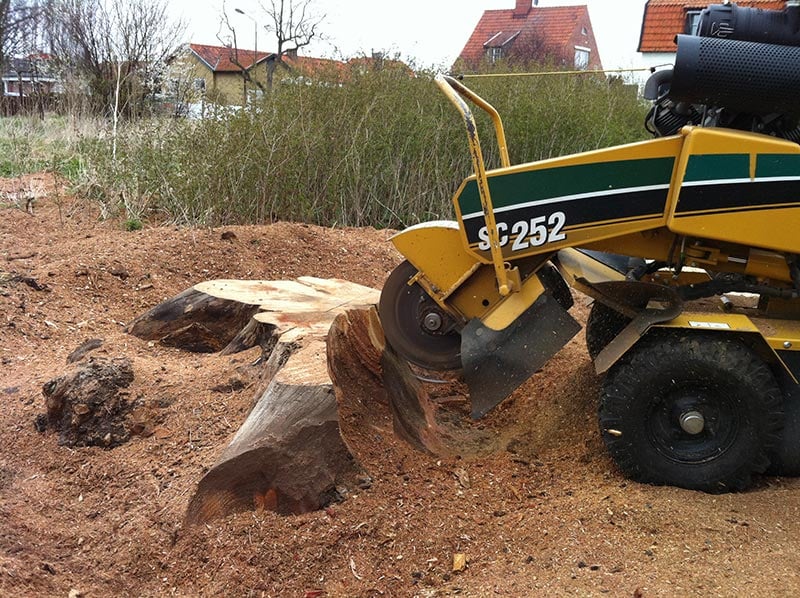 stubbfrasning (1) stubbfrasning (1)